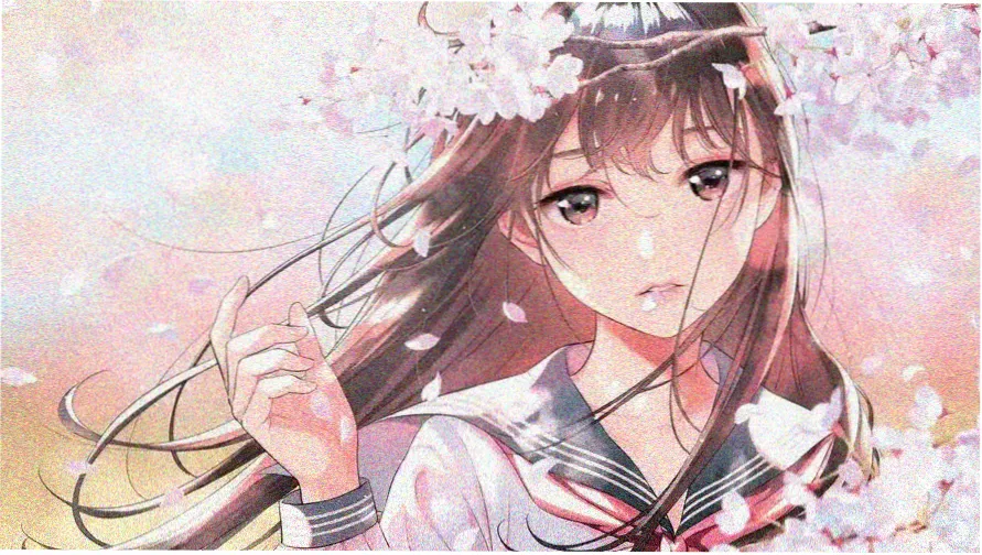 蘑菇品种大全